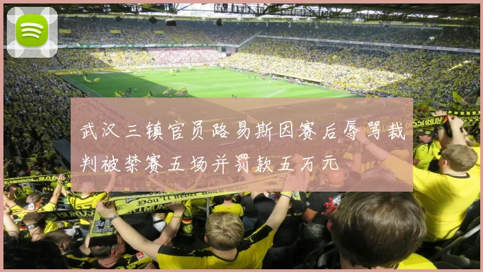 武汉三镇官员路易斯因赛后辱骂裁判被禁赛五场并罚款五万元