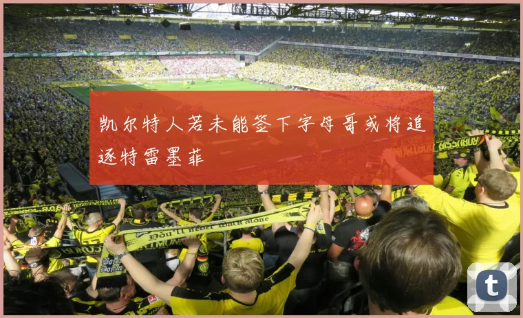 凯尔特人若未能签下字母哥或将追逐特雷墨菲